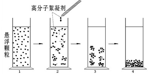 聚丙烯酰胺絮凝机理.jpg