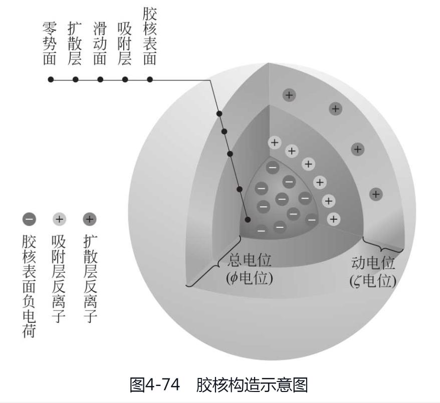 胶核构造